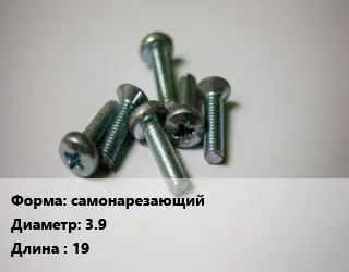 Винт самонарезающий 3.9х19